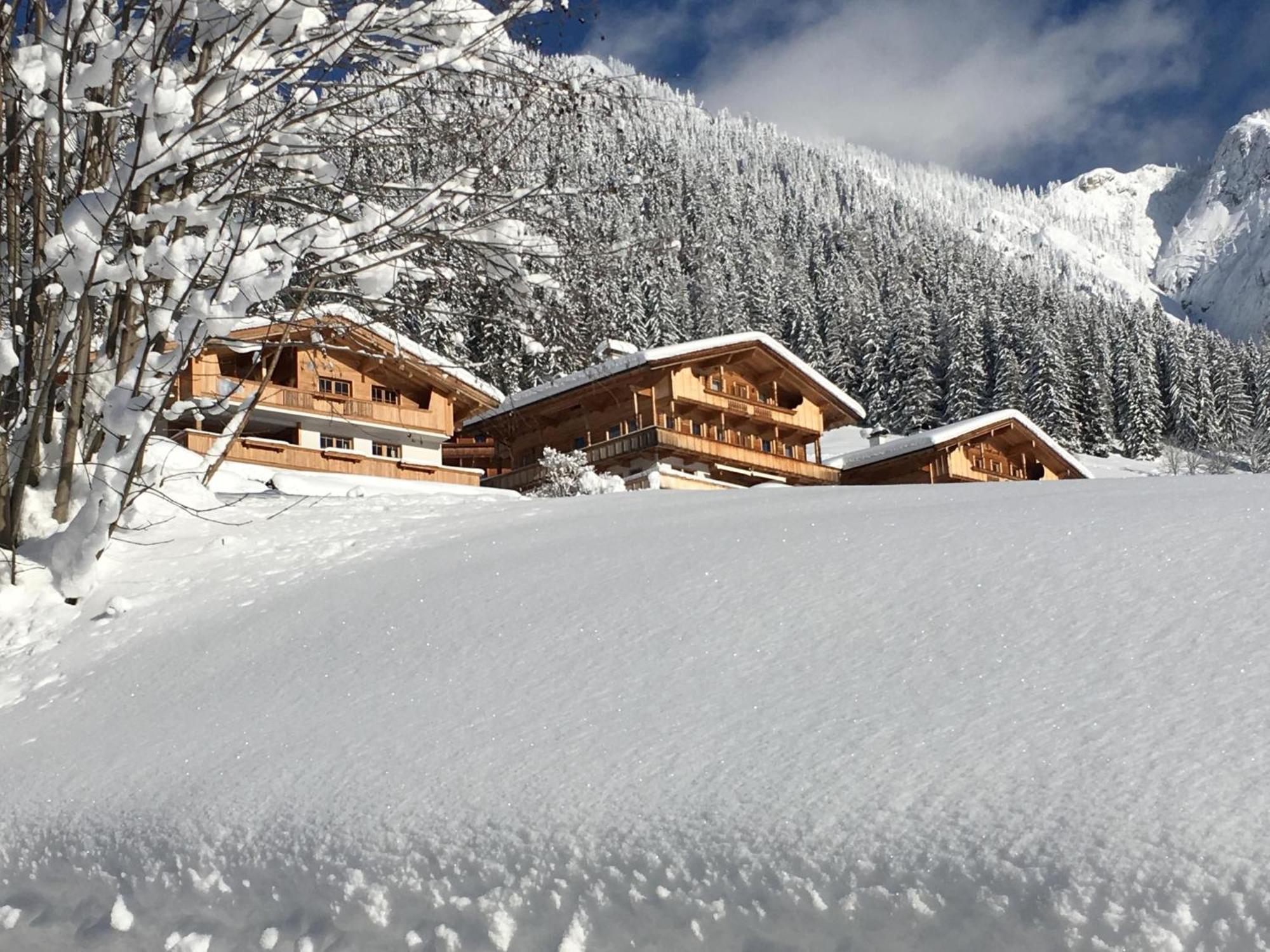 Haus Fernwald Top Nynke Lägenhet Alpbach Exteriör bild